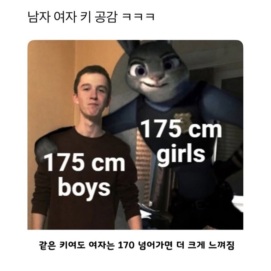 남자 175cm vs 여자 175cm_1.jpg