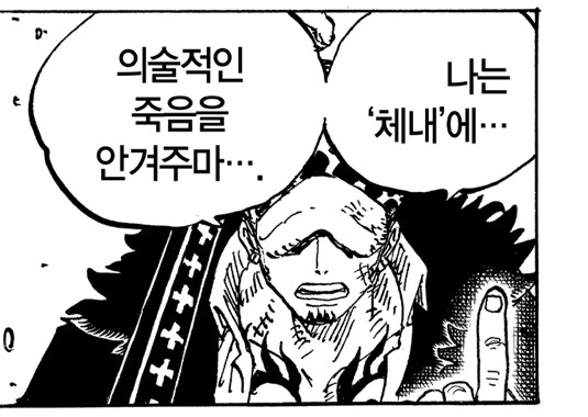 원피스 카이도에게 데미지를 주는 법_3.jpg