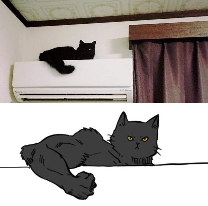 힘을 숨긴 동물들.JPG_3.jpg