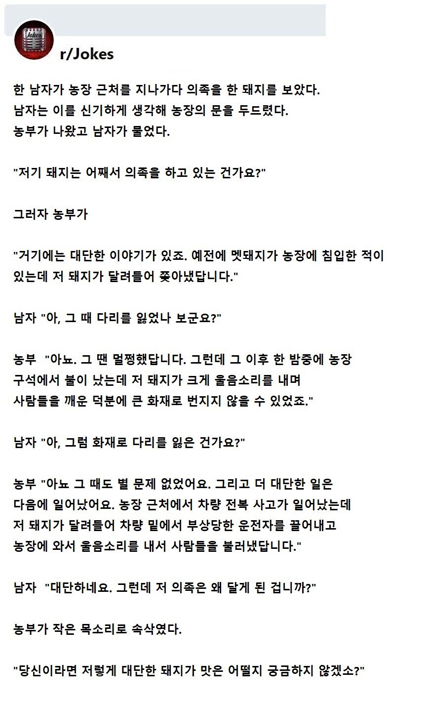 돼지가 의족을 한 이유_1.jpg