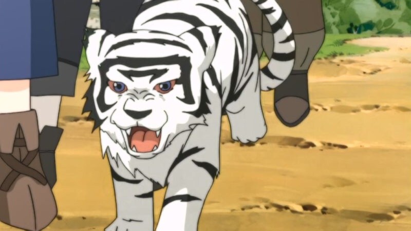 진짜 민심 좃박으면 터지는 사건_18.jpg