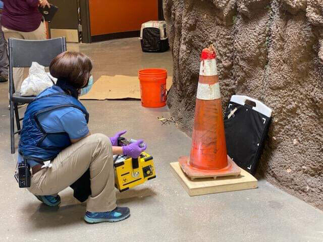 펭귄 엑스레이 촬영 방법.jpg_3.jpg