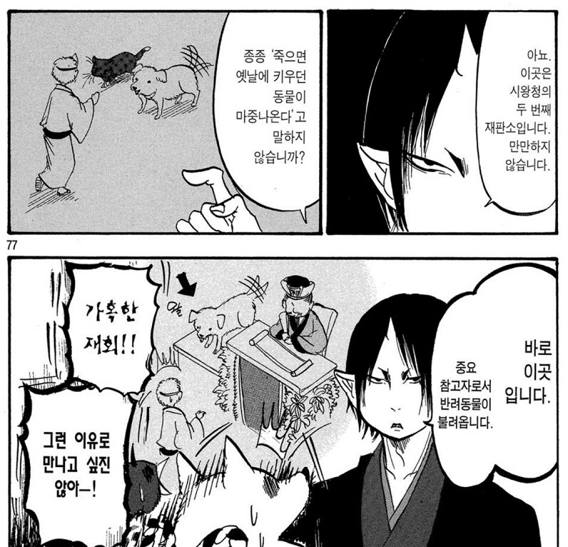 사람이 죽으면 먼저 가 있던 반려동물이 마중나온다는 얘기가 있다_1.png