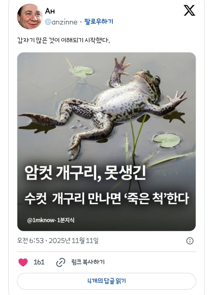 암컷 문어, 짜증나게 하는 수컷한테 돌 던진다_3.jpg