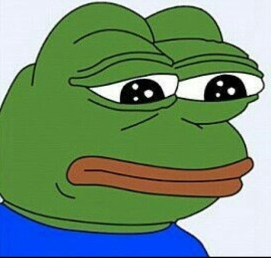 암컷 문어, 짜증나게 하는 수컷한테 돌 던진다_5.jpg