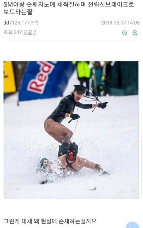 여왕님 스키 타러 오셨네_1.jpg