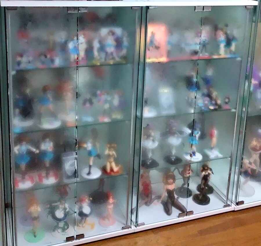 습기가 찬 피규어 진열장.jpg_1.jpg