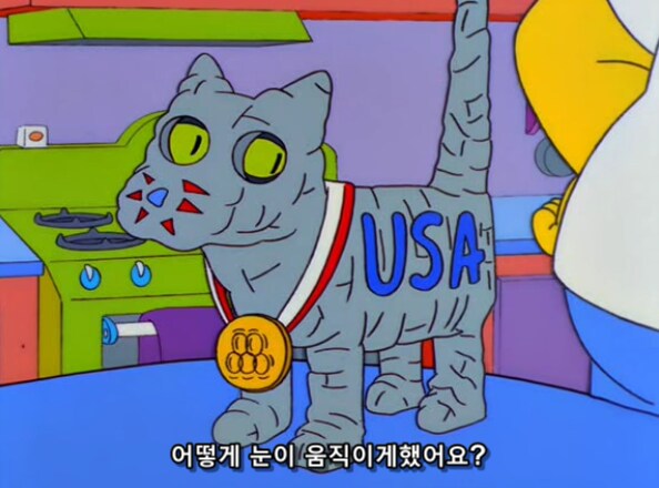 집에서 키우는 고양이가 아빠한테 하악질을 한 이유_4.png