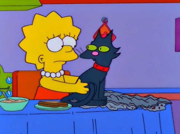 집에서 키우는 고양이가 아빠한테 하악질을 한 이유_7.png