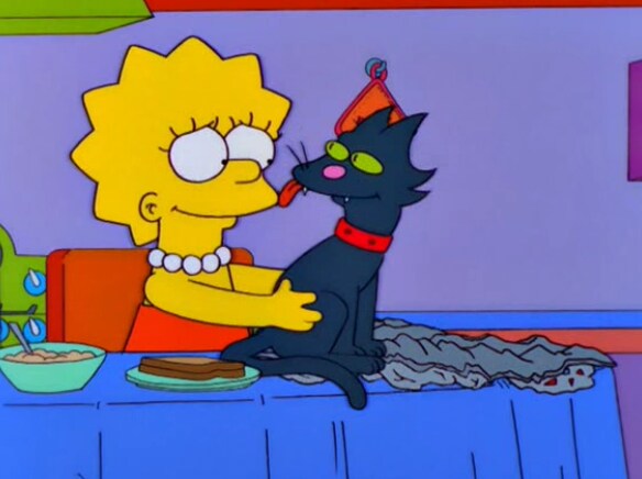 집에서 키우는 고양이가 아빠한테 하악질을 한 이유_8.png