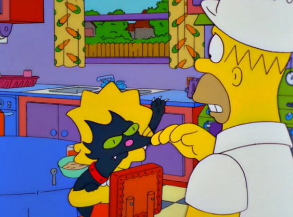 집에서 키우는 고양이가 아빠한테 하악질을 한 이유_9.png