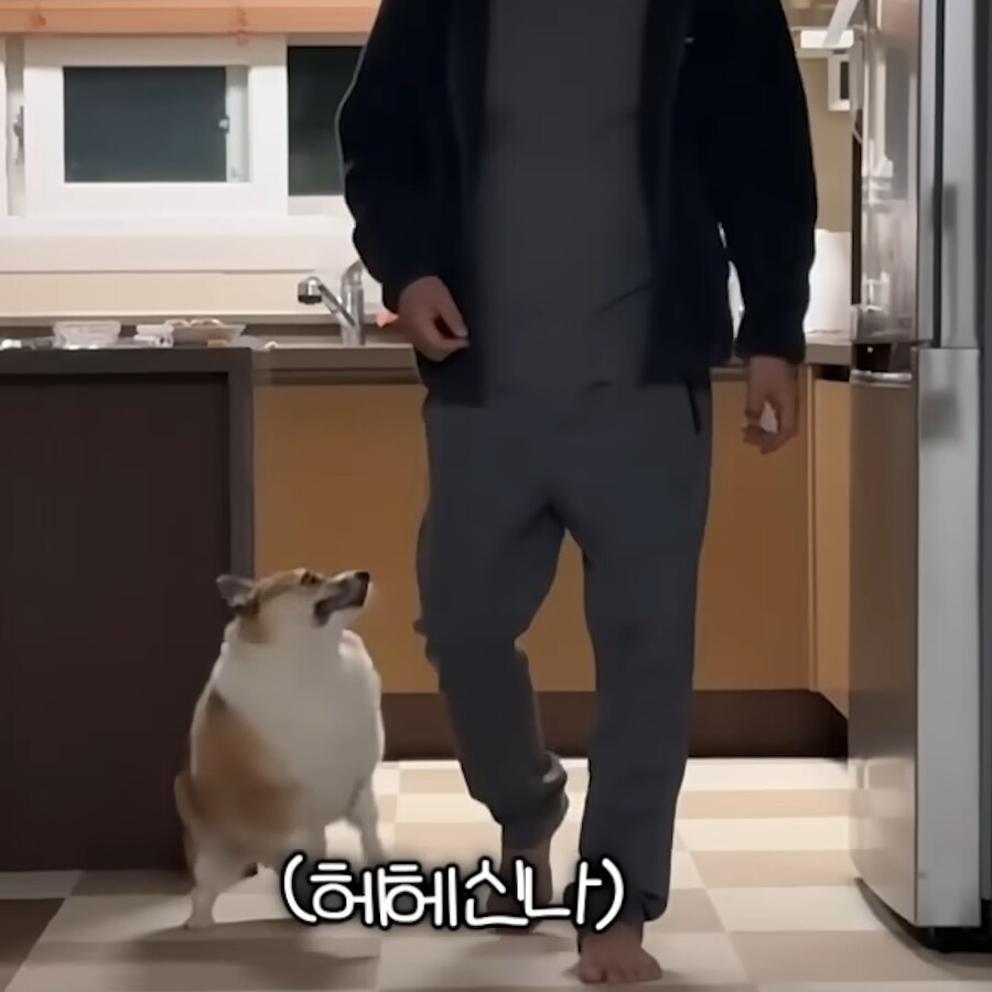 강아지 간식주다가 열받은 아저씨_5.jpg