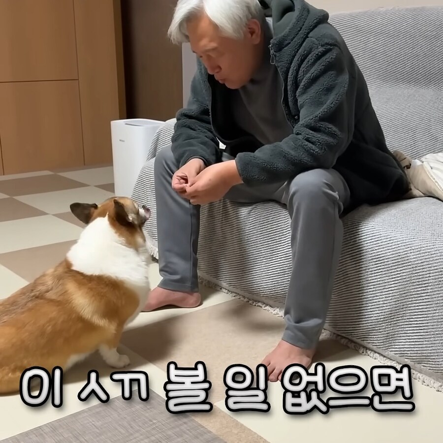 강아지 간식주다가 열받은 아저씨_7.jpg