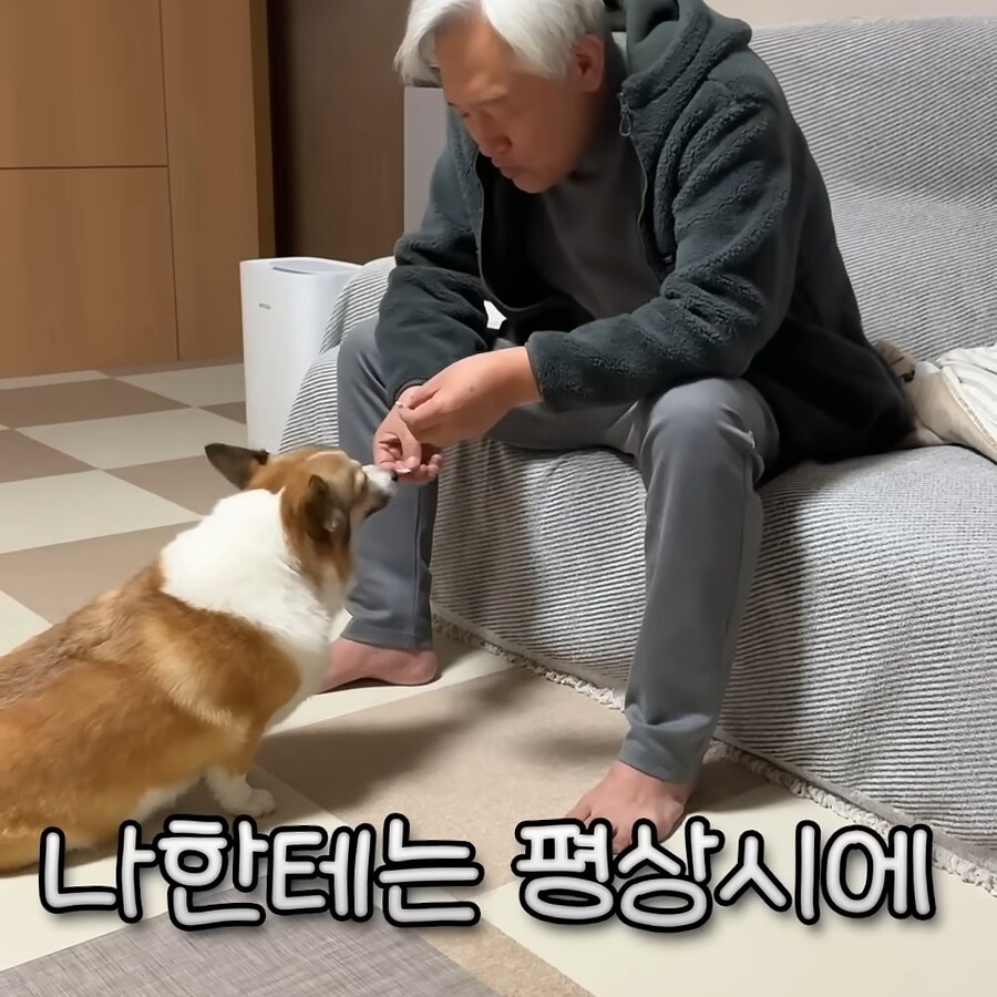 강아지 간식주다가 열받은 아저씨_8.jpg