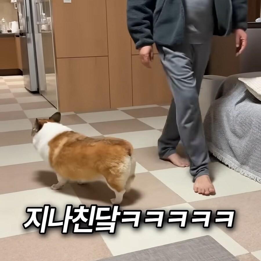강아지 간식주다가 열받은 아저씨_11.jpg