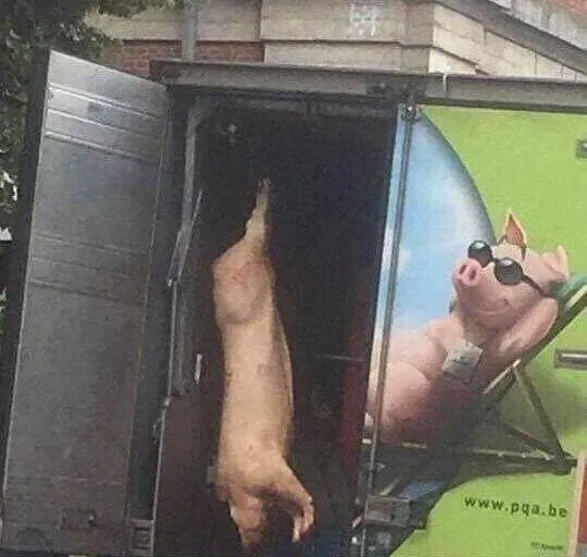 거짓된 낙원_1.webp