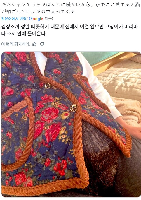 날이 추워지며 일본에서 언급되는 김장 조끼_1.png