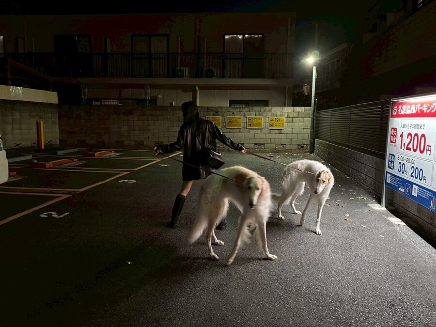 ※ 필드 선공몹 아님.jpg_1.jpg