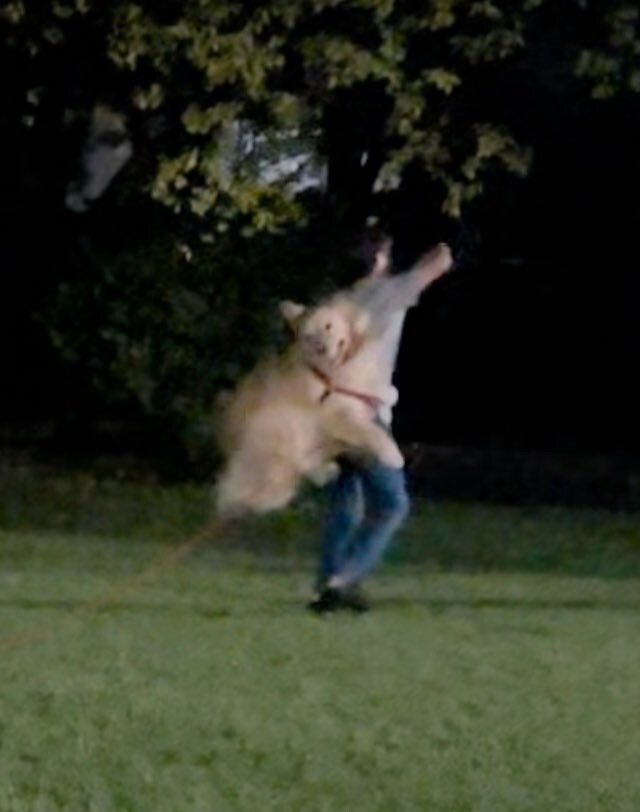 쭈인과 공원에 갔다온 멍멍이 사진.jpg_2.jpg