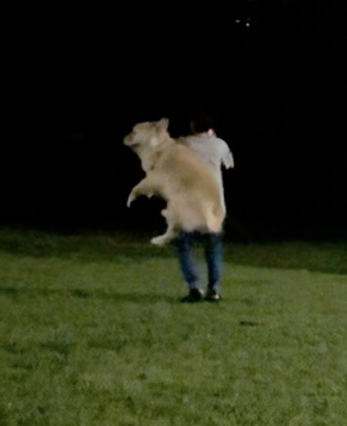 쭈인과 공원에 갔다온 멍멍이 사진.jpg_4.jpg