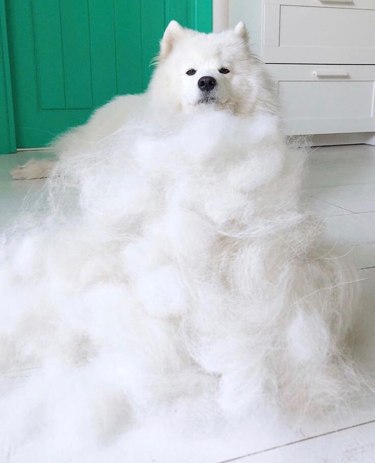 추운겨울에 하나 장만해두면좋은것.jpg_2.jpg