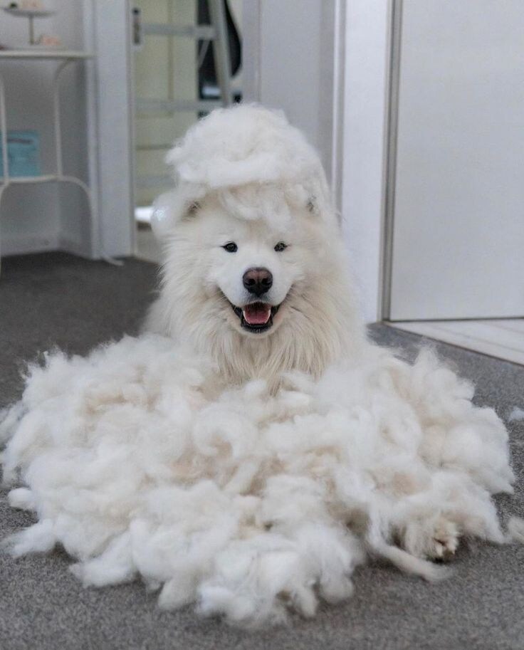 추운겨울에 하나 장만해두면좋은것.jpg_3.jpg