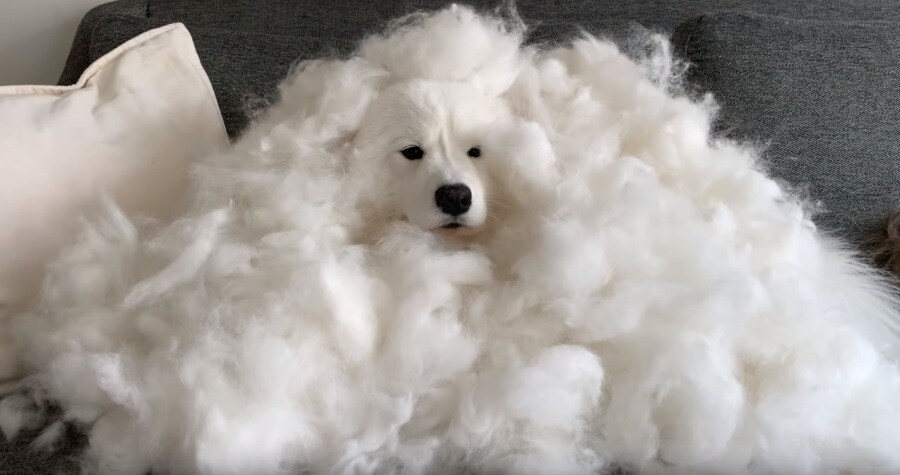 추운겨울에 하나 장만해두면좋은것.jpg_5.jpg