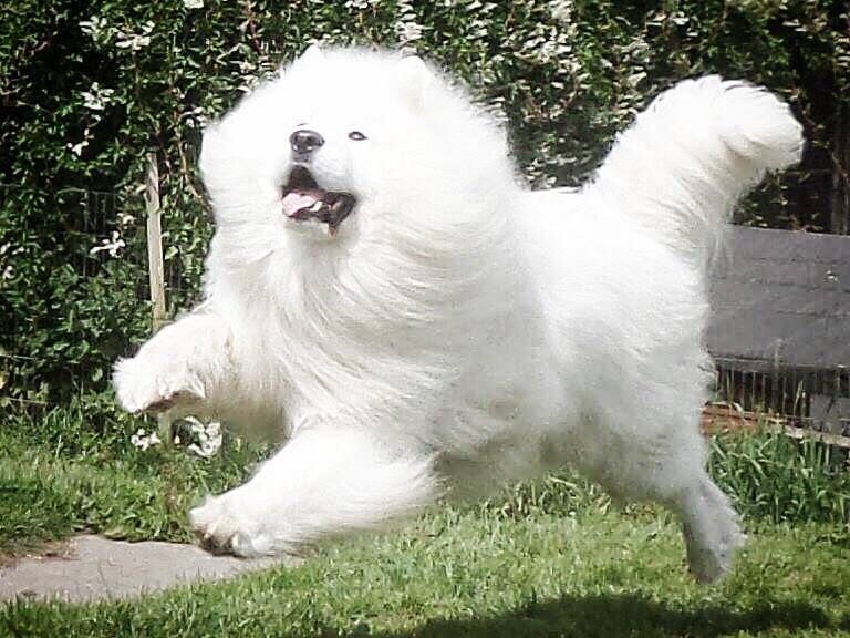 추운겨울에 하나 장만해두면좋은것.jpg_7.jpg