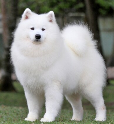 추운겨울에 하나 장만해두면좋은것.jpg_8.png