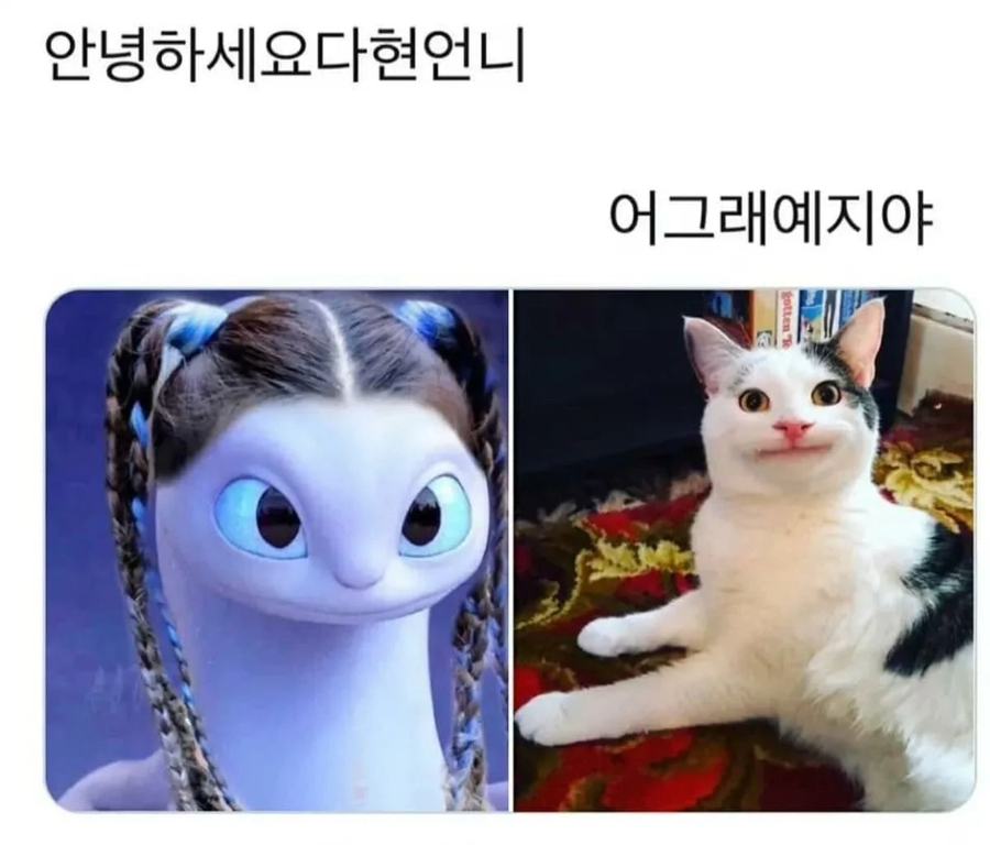 안녕하세요 다현언니_1.webp