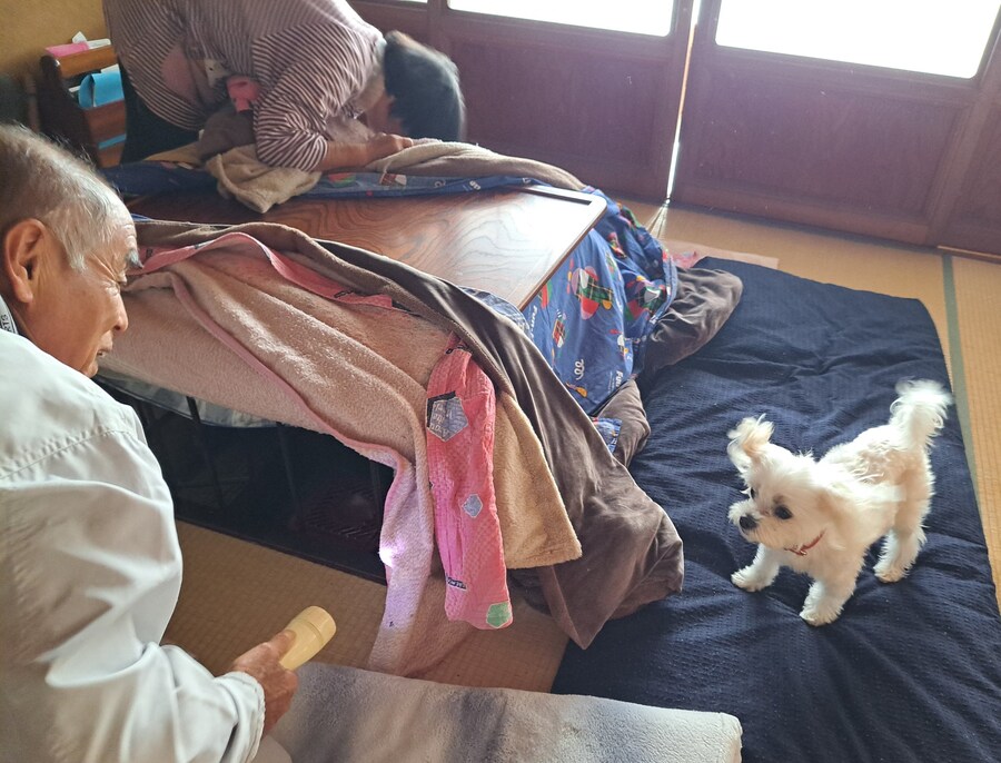 인형이 없어져서 온집안이 난리난 사진.jpg_1.jpg