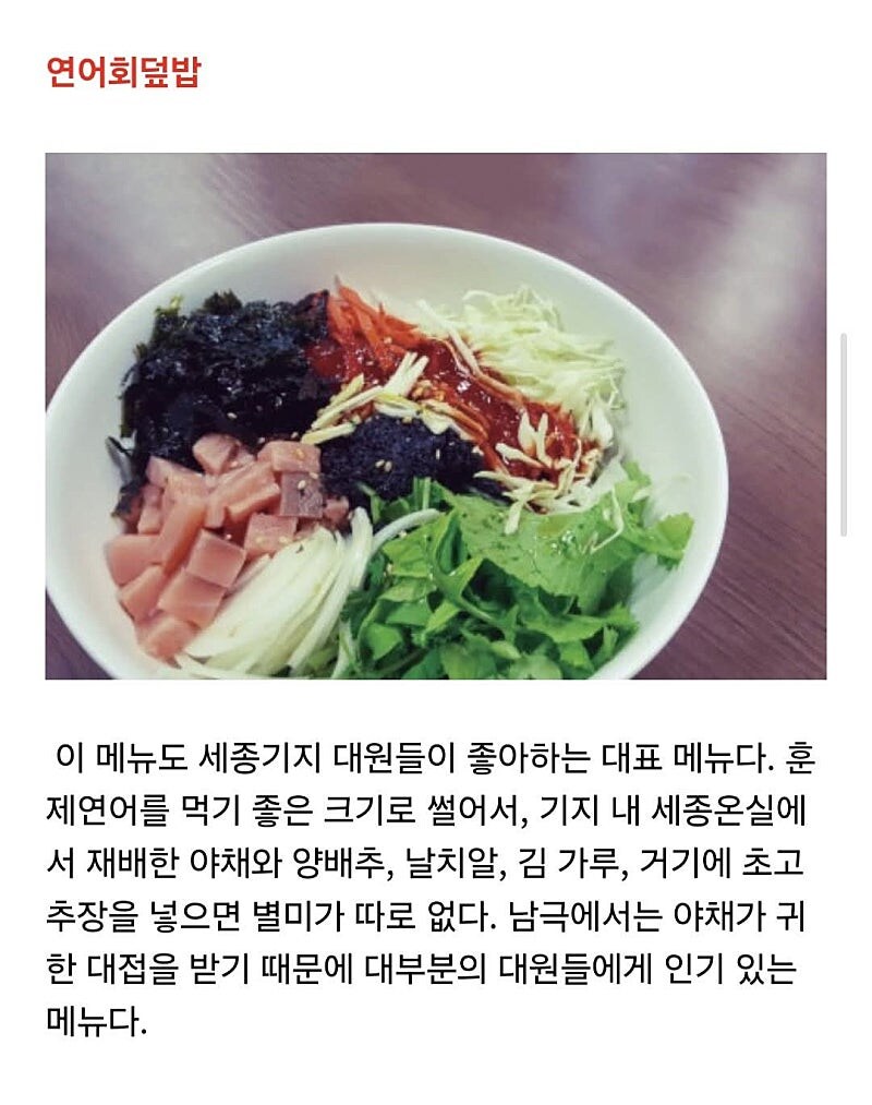 곧 방영한다는...백종원의 남극의 셰프...세종기지 식단 팩트_7.jpg