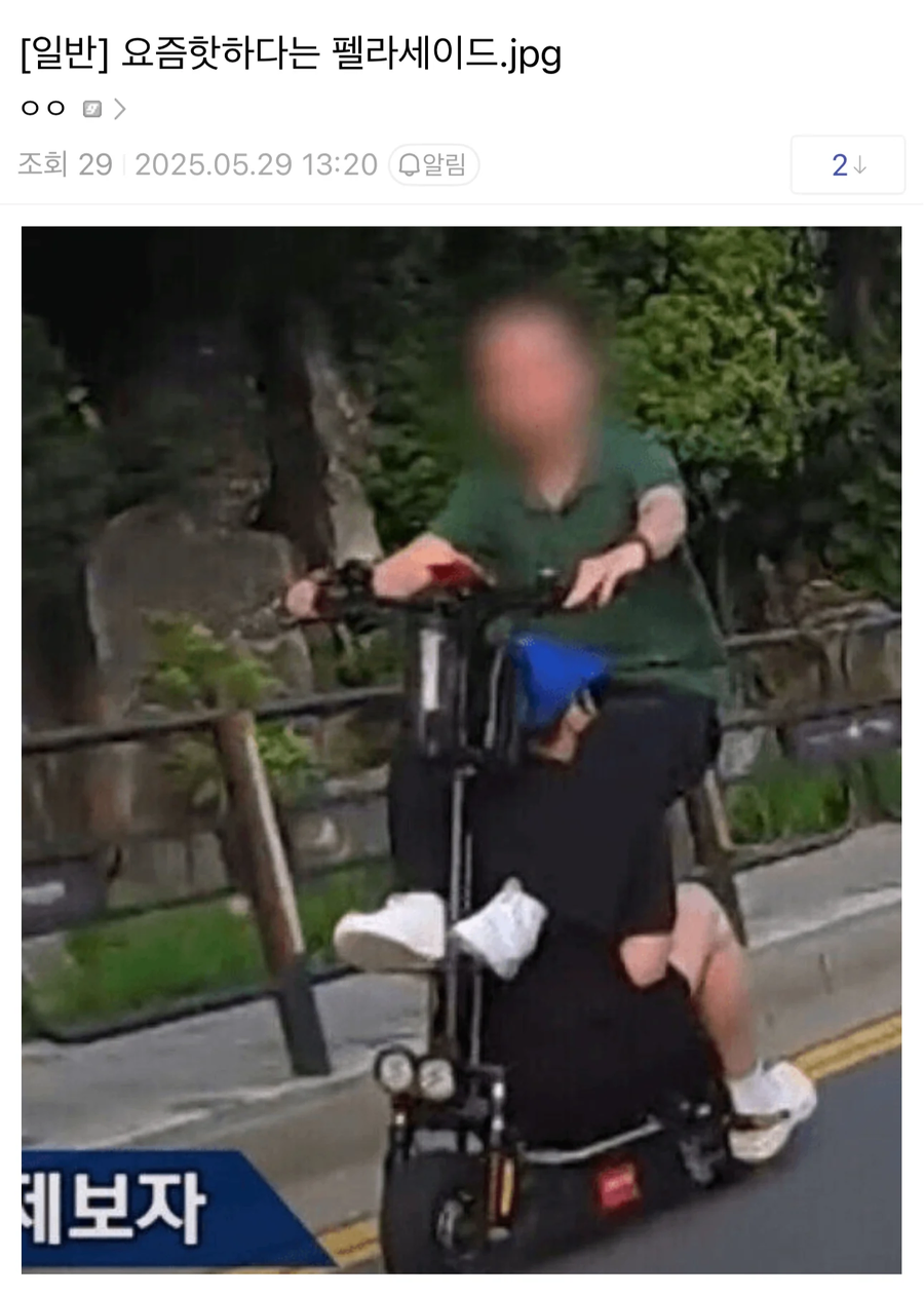 2026 펠라세이드 디자인 스파이샷_1.webp