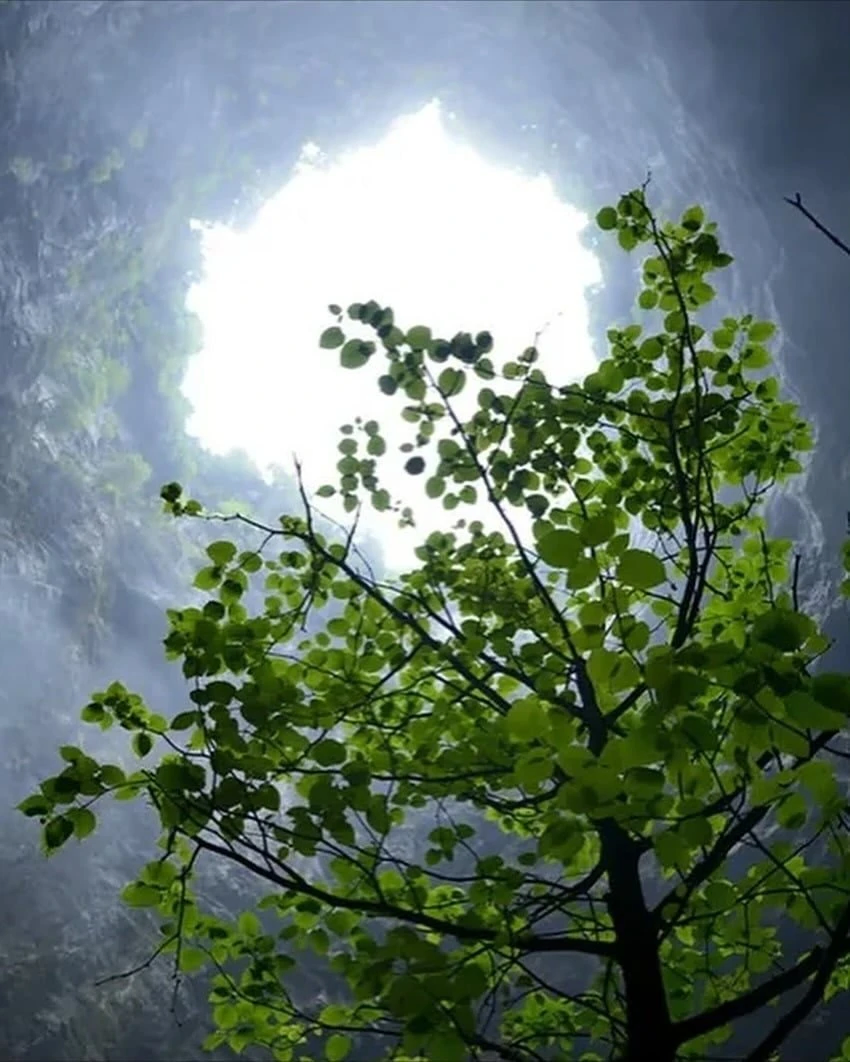 중국에서 발견된 초대형 싱크홀._3.webp