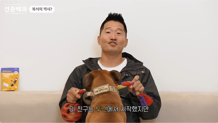 투견처럼 생겼는데 순하기로 유명한 개_2.png