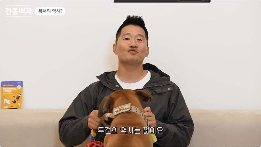 투견처럼 생겼는데 순하기로 유명한 개_3.png