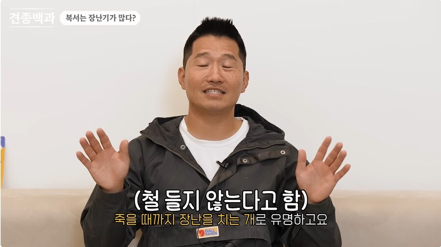 투견처럼 생겼는데 순하기로 유명한 개_8.png