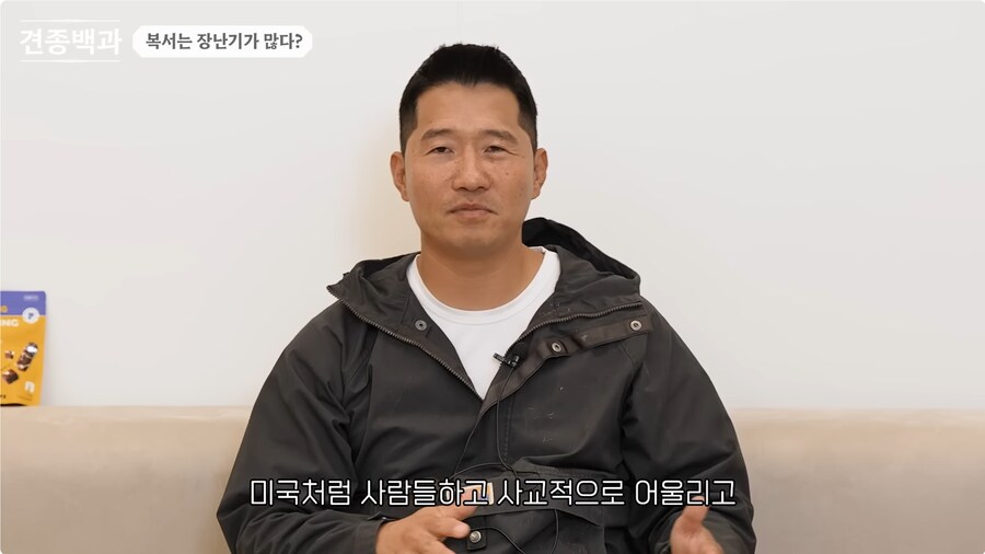 투견처럼 생겼는데 순하기로 유명한 개_10.png