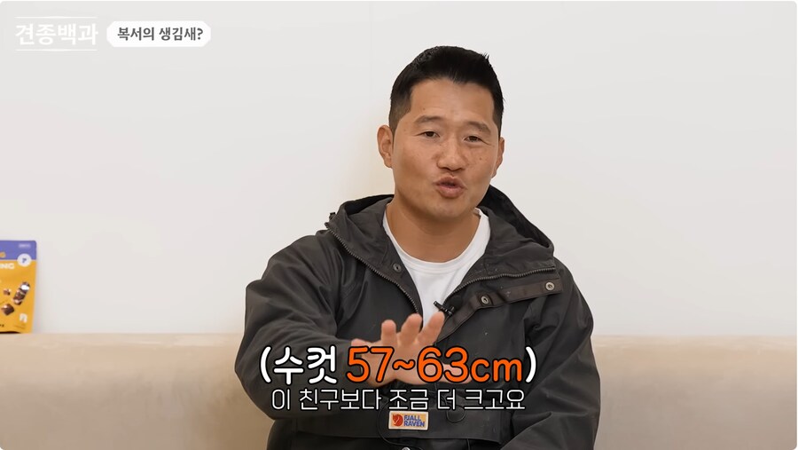 투견처럼 생겼는데 순하기로 유명한 개_14.png