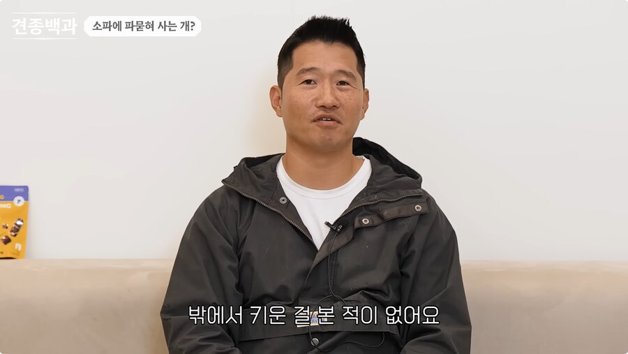 투견처럼 생겼는데 순하기로 유명한 개_18.png