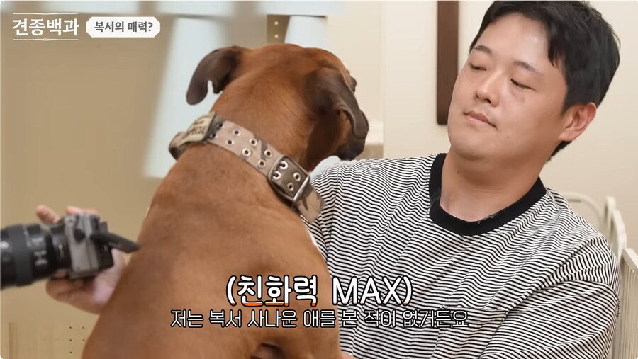 투견처럼 생겼는데 순하기로 유명한 개_21.png