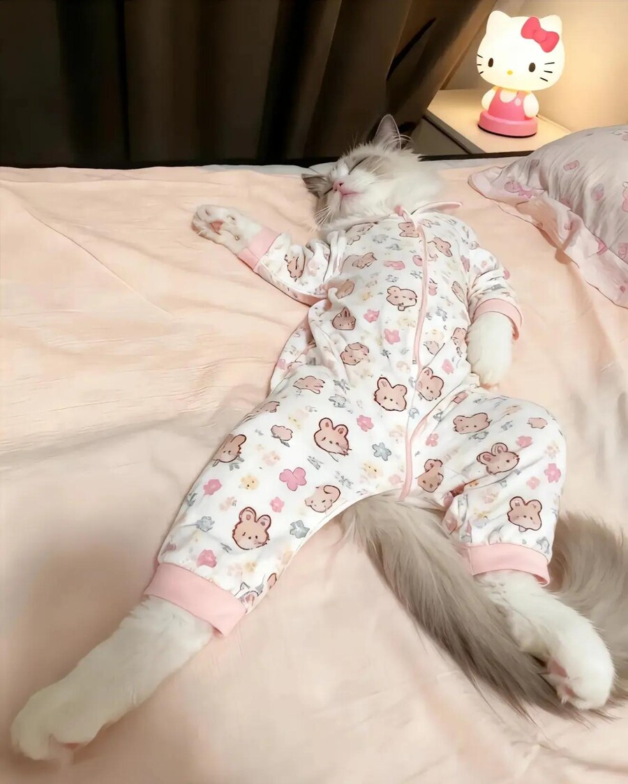 아기 옷 버리기 아까워서 고양이 입혔어요 ! ㅋㅋ_1.jpg