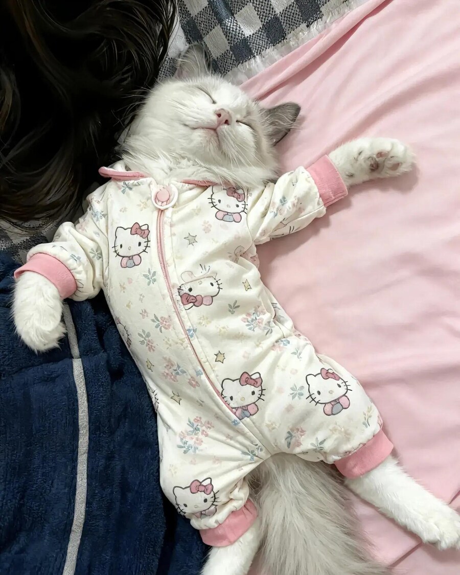 아기 옷 버리기 아까워서 고양이 입혔어요 ! ㅋㅋ_2.jpg