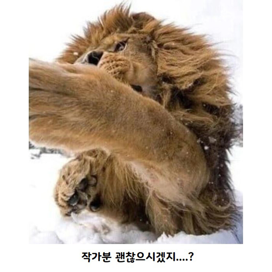 맹수들 근접 촬영 전문가_5.jpg