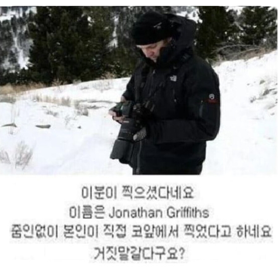 맹수들 근접 촬영 전문가_8.jpg