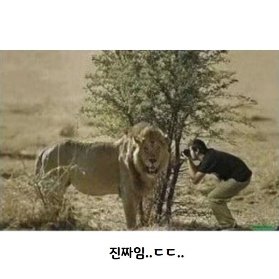 맹수들 근접 촬영 전문가_9.jpg