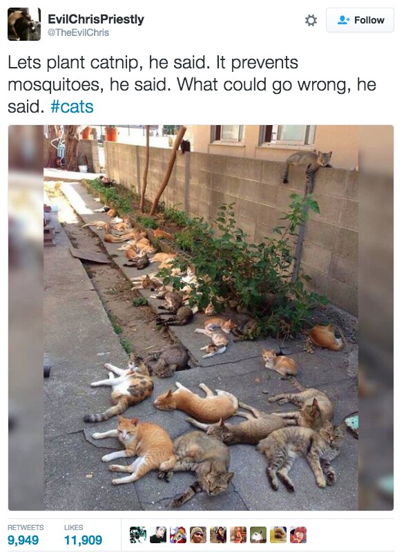 스쿠마빨은 카짓떼_1.png