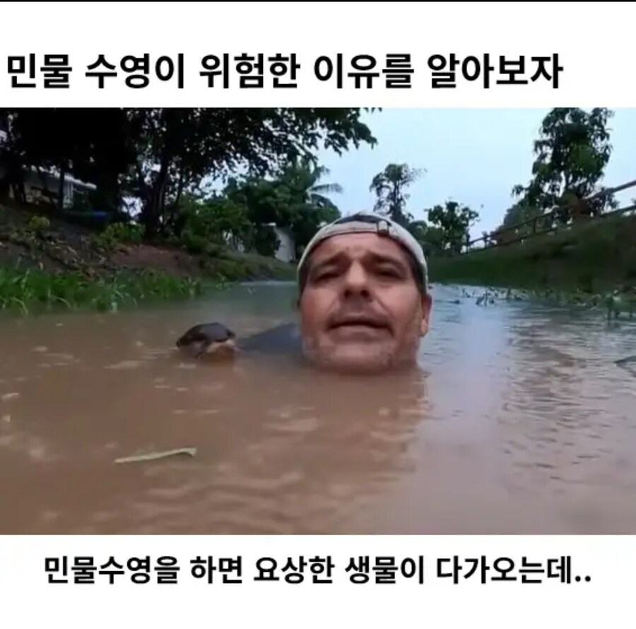 민물 수영이 위험한 이유_1.jpg