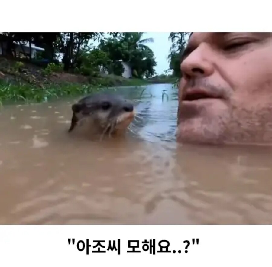 민물 수영이 위험한 이유_2.jpg