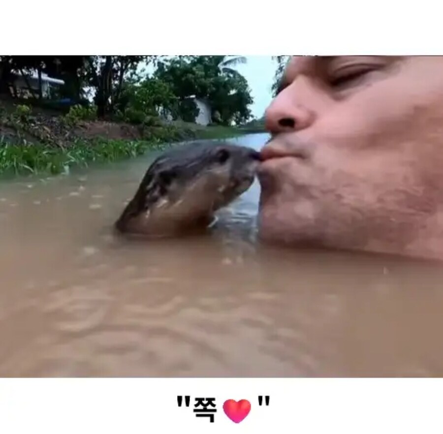 민물 수영이 위험한 이유_3.jpg